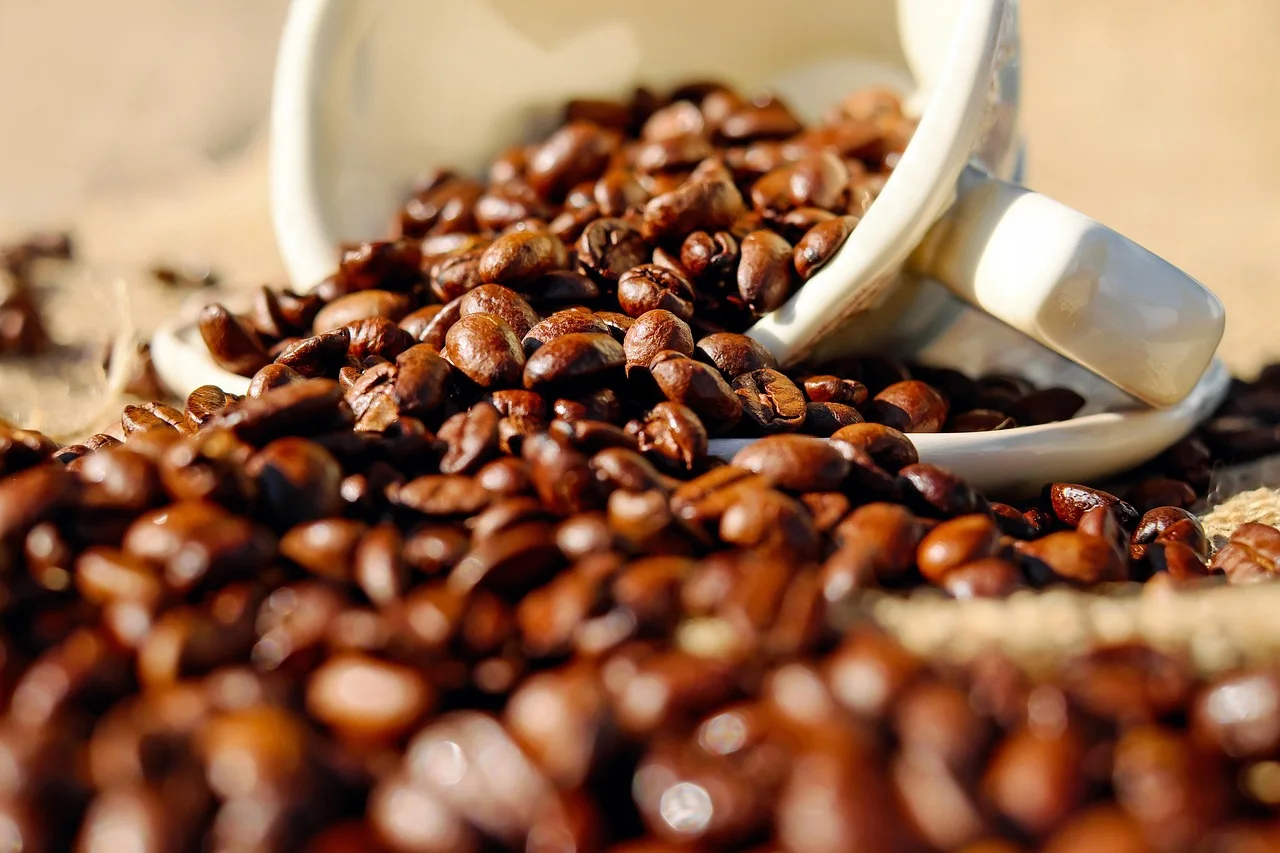 Roasted coffee beans