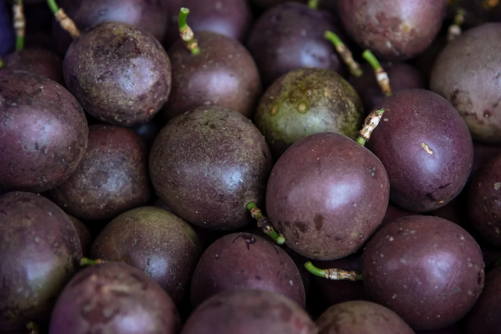 Fresh purple passion fruits