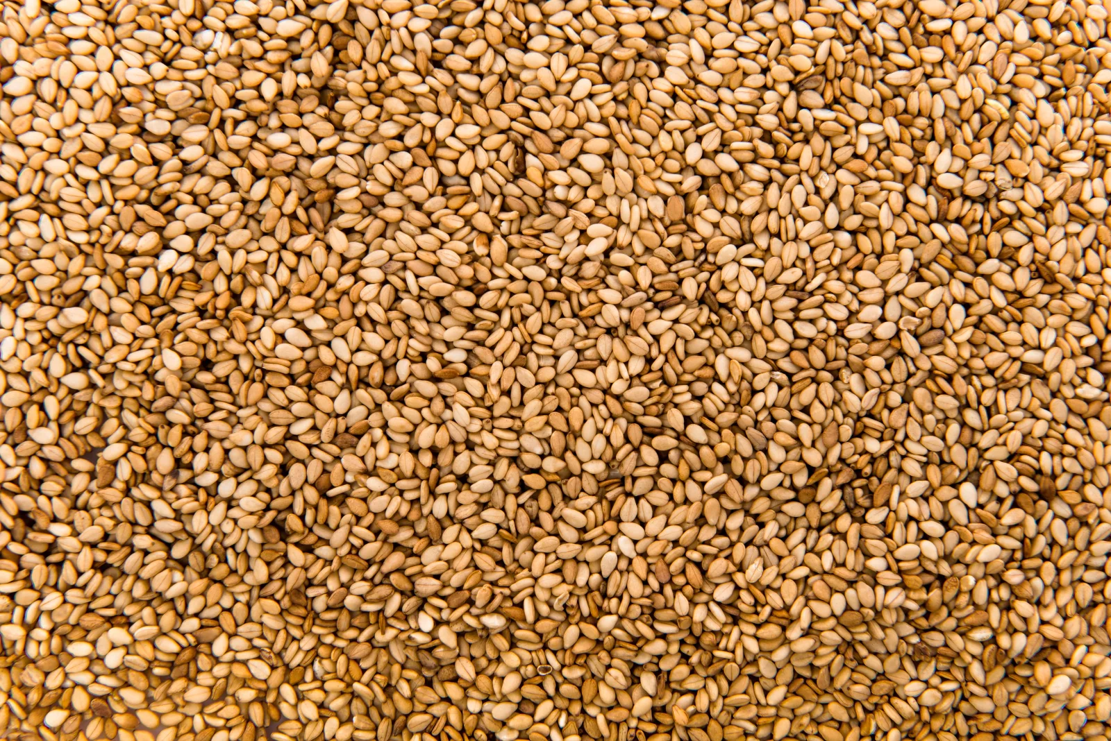 Golden sesame seeds