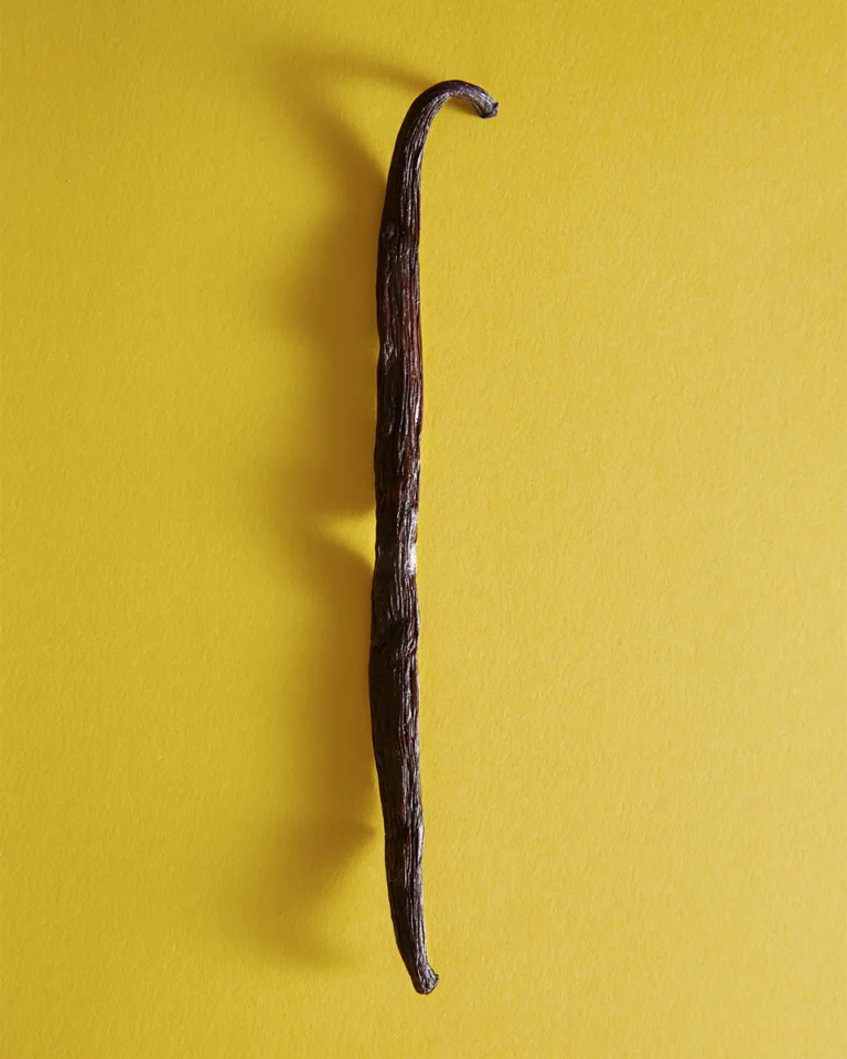 Cured vanilla bean