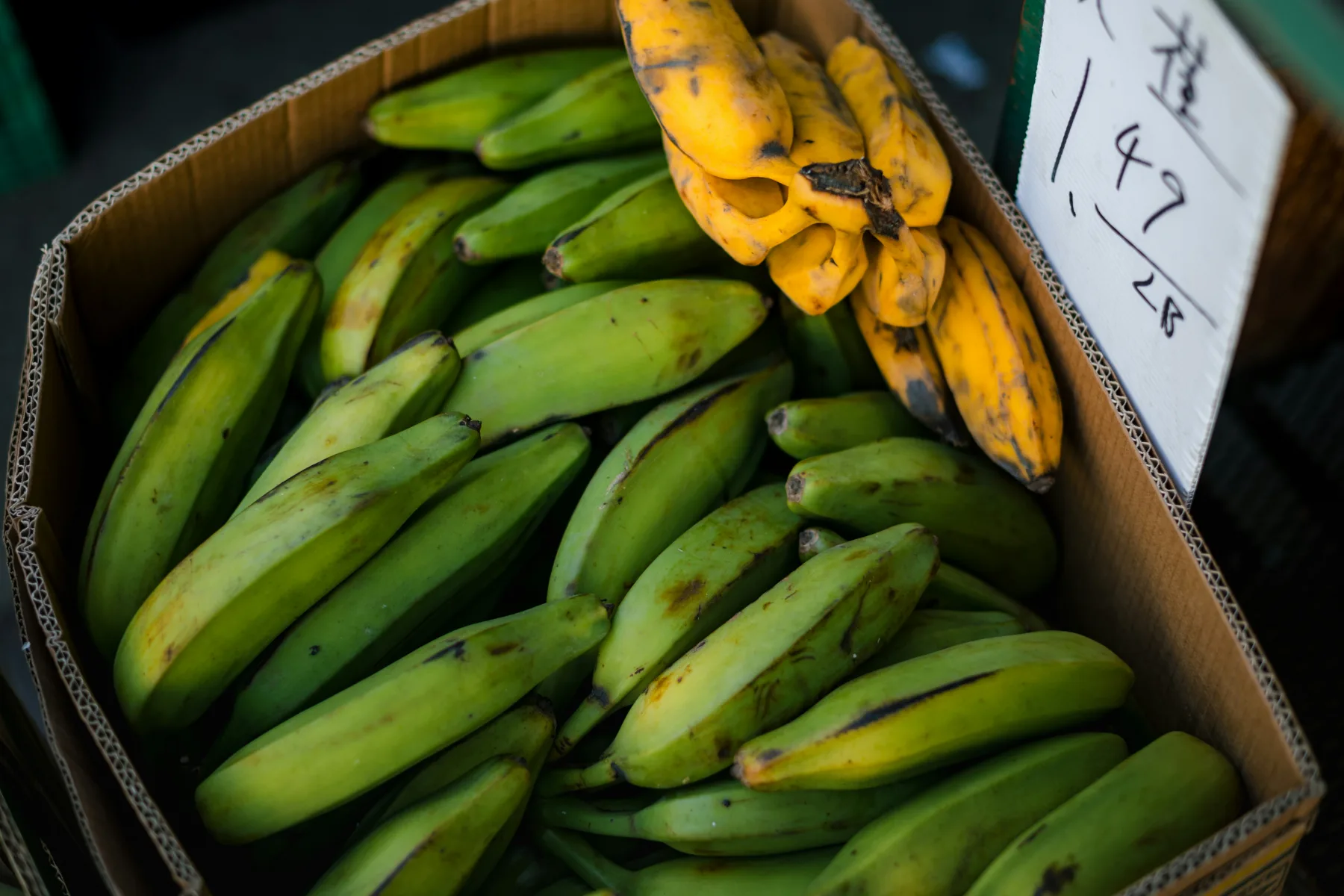 Green plantain packed in an export crate