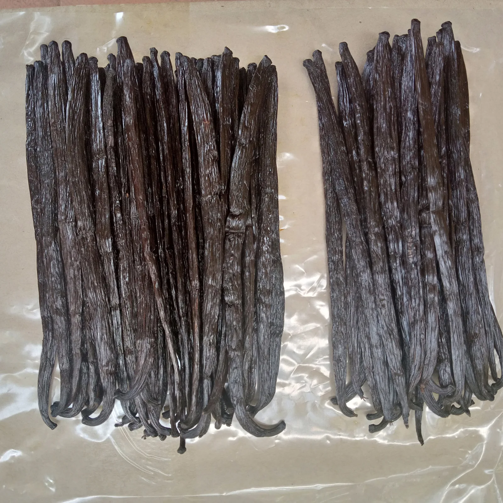 Cured gourmet vanilla beans