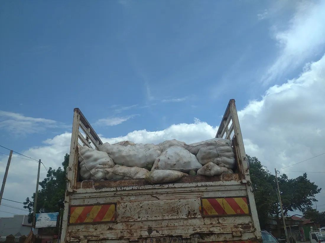 Food being transported