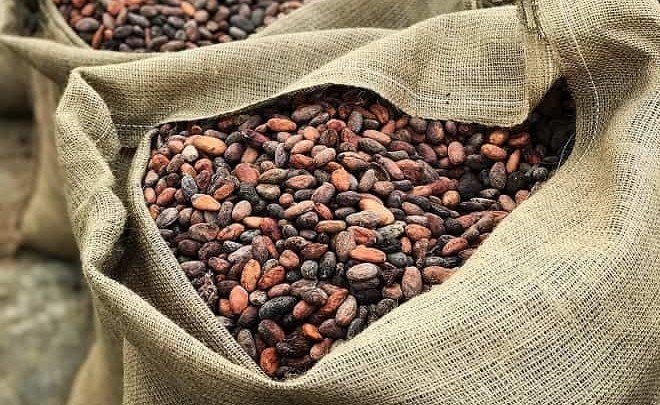 Cofee beans